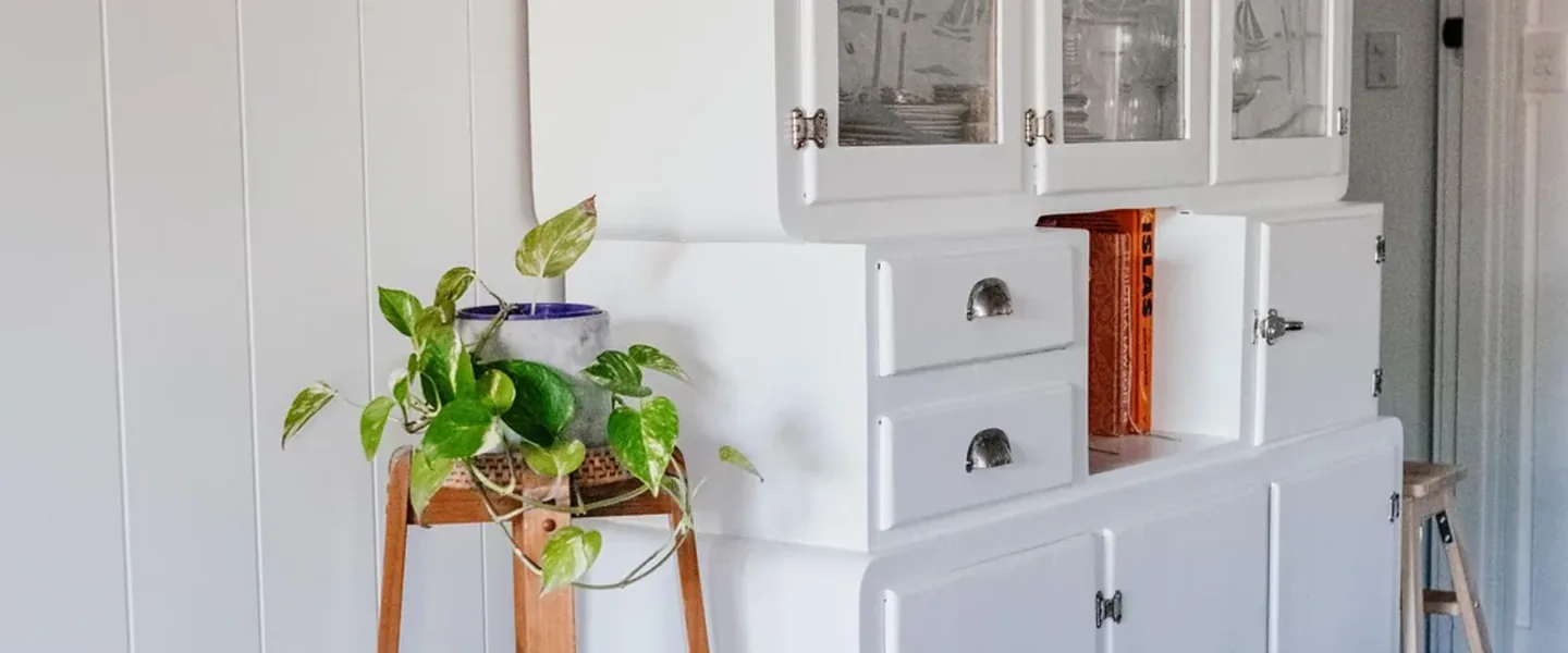 A white kitchen cabinet and potted greenery